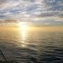 arklow2026.jpg